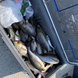 第八大安丸 釣果