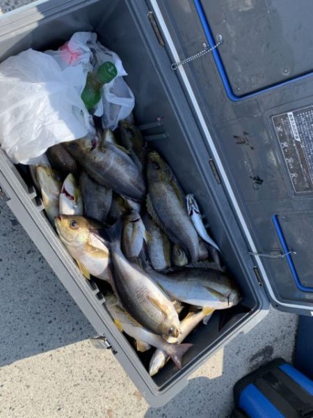 第八大安丸 釣果