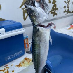 夢丸 釣果