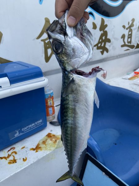 夢丸 釣果