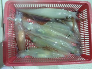 兼六丸 釣果