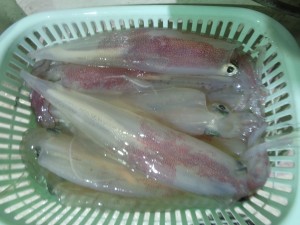 兼六丸 釣果