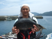 春日丸 釣果