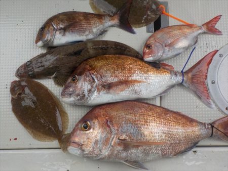 HARUKA丸 はるかまる 釣果