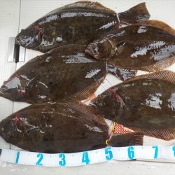 HARUKA丸 はるかまる 釣果