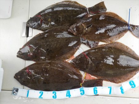 ＨＡＲＵＫＡ丸　はるかまる 釣果