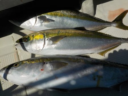 ＨＡＲＵＫＡ丸　はるかまる 釣果