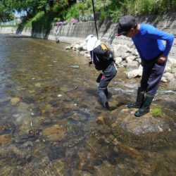 会津大川（会津非出資漁業協同組合） 釣果