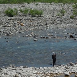 会津大川(会津非出資漁業協同組合) 釣果