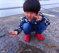 鹿島港魚釣園 釣果