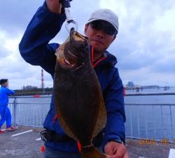 鹿島港魚釣園 釣果