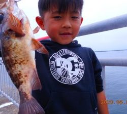 鹿島港魚釣園 釣果