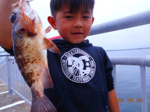 鹿島港魚釣園 釣果