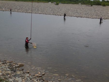 会津大川(会津非出資漁業協同組合) 釣果