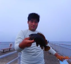 鹿島港魚釣園 釣果