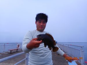 鹿島港魚釣園 釣果