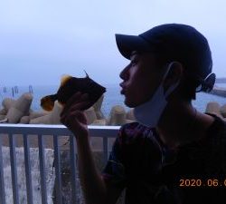 鹿島港魚釣園 釣果