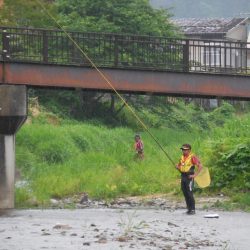 会津大川(会津非出資漁業協同組合) 釣果