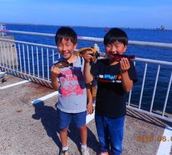 鹿島港魚釣園 釣果