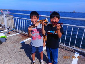 鹿島港魚釣園 釣果