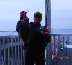 鹿島港魚釣園 釣果