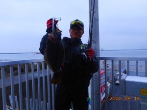 鹿島港魚釣園 釣果
