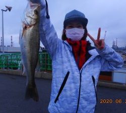 鹿島港魚釣園 釣果