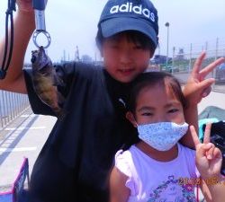 鹿島港魚釣園 釣果