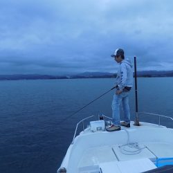 フィッシングボート空風(そらかぜ) 釣果