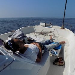 フィッシングボート空風(そらかぜ) 釣果