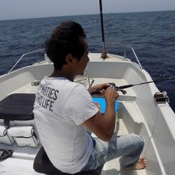 フィッシングボート空風(そらかぜ) 釣果