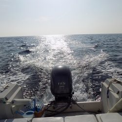 フィッシングボート空風(そらかぜ) 釣果