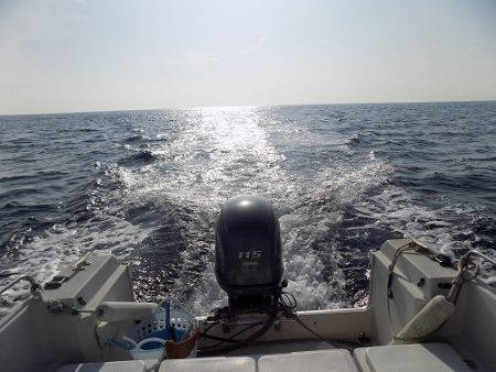 フィッシングボート空風(そらかぜ) 釣果