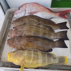 フィッシングボート空風(そらかぜ) 釣果