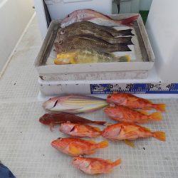 フィッシングボート空風(そらかぜ) 釣果