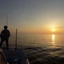 フィッシングボート空風(そらかぜ) 釣果