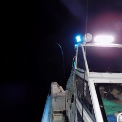 フィッシングボート空風(そらかぜ) 釣果