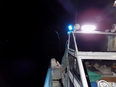 フィッシングボート空風(そらかぜ) 釣果