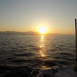 フィッシングボート空風(そらかぜ) 釣果