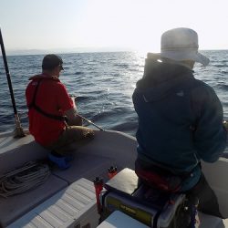 フィッシングボート空風(そらかぜ) 釣果