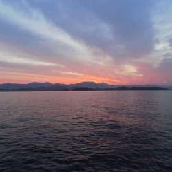 フィッシングボート空風(そらかぜ) 釣果