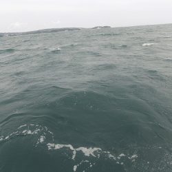 フィッシングボート空風(そらかぜ) 釣果