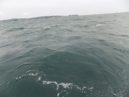 フィッシングボート空風(そらかぜ) 釣果