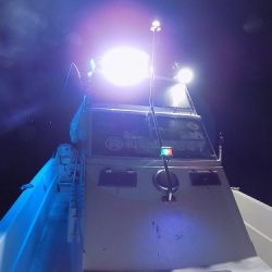 フィッシングボート空風(そらかぜ) 釣果