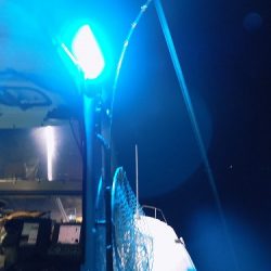 フィッシングボート空風(そらかぜ) 釣果