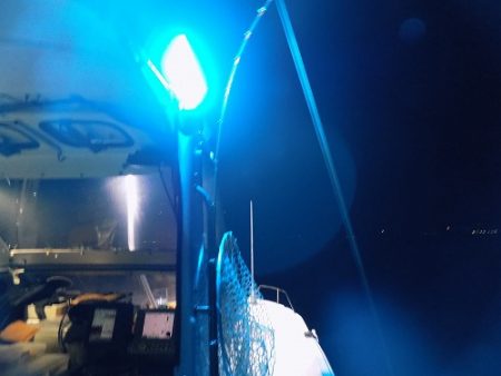 フィッシングボート空風(そらかぜ) 釣果