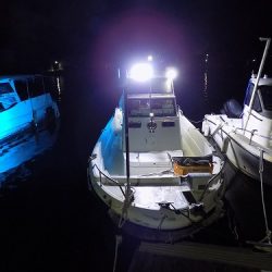 フィッシングボート空風(そらかぜ) 釣果