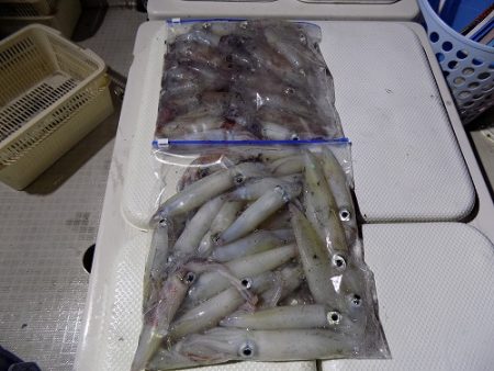 フィッシングボート空風(そらかぜ) 釣果