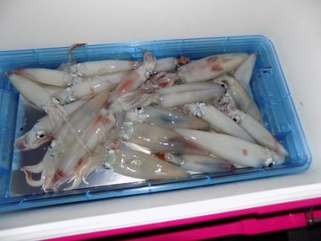 フィッシングボート空風(そらかぜ) 釣果