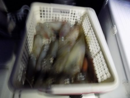 フィッシングボート空風(そらかぜ) 釣果